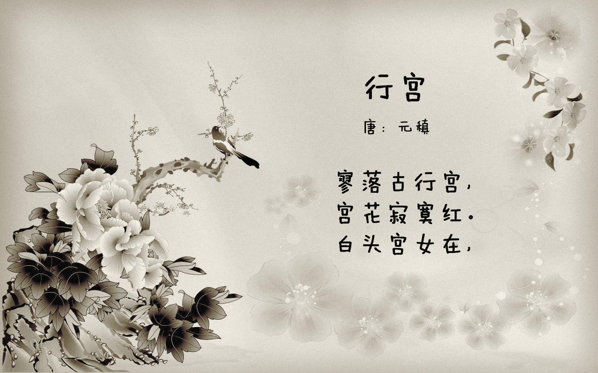 赛季最佳快攻：快节奏篮球的极致表现，篮球快攻的三个阶段