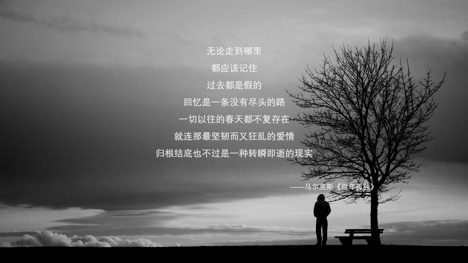 夏洛特队在最新一场比赛中实现逆袭，取得胜利，夏洛特的比赛