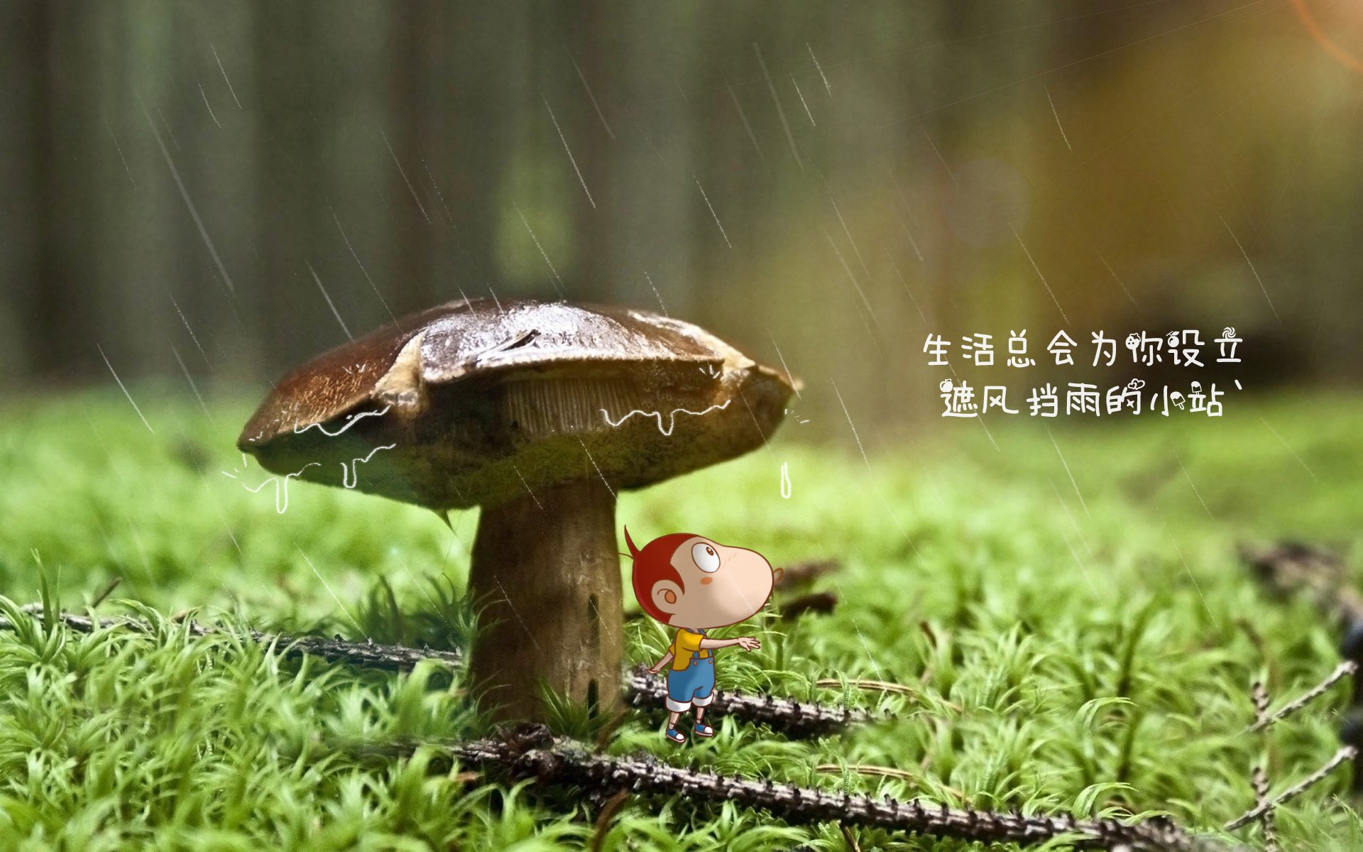KAIYUNAPP-“克洛普批评FIFA：这是足球史上最糟糕的想法”