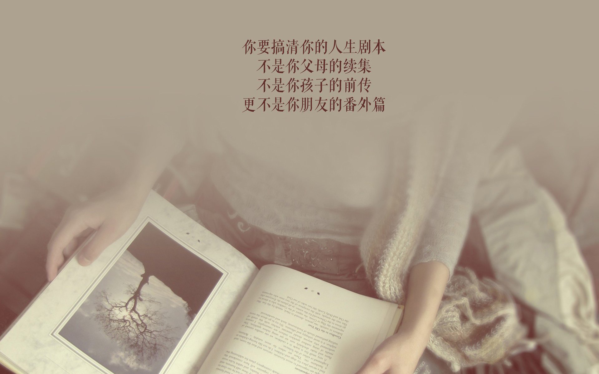 开云kaiyun-新加坡队赛制透视：通过战术优化提升对抗强敌的胜算，新加坡杯